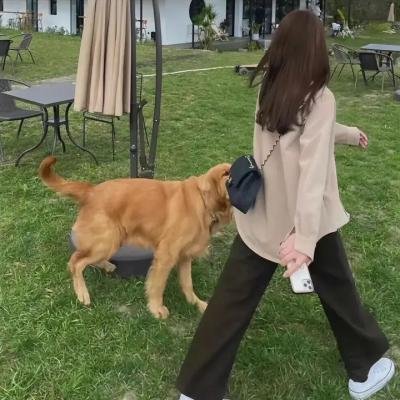疯狂的外星人